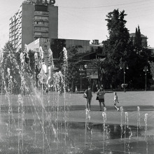 Image-(21)
