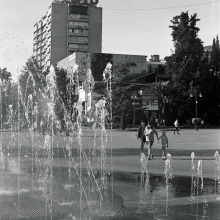 Image-(22)