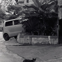 Image-(35)