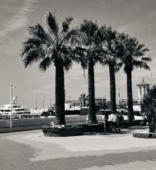 1_dsc05807