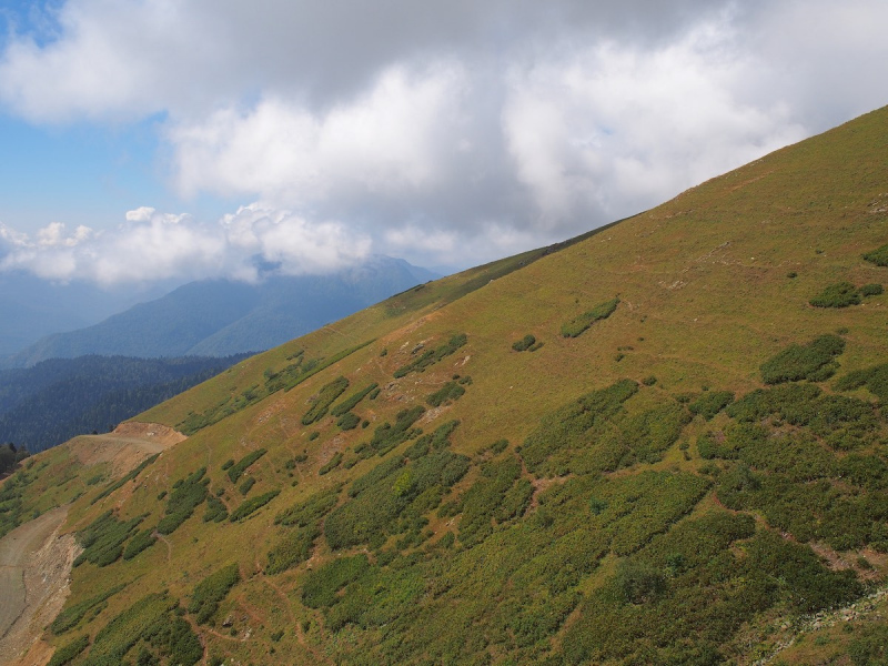 Панорамы Кавказа
