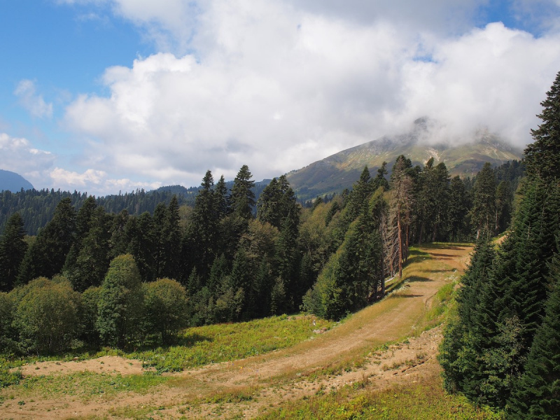 Панорамы Кавказа