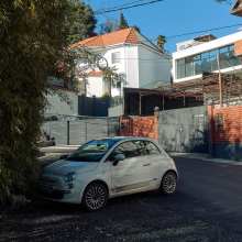 Fiat 500 и кот Fiat 500 и кот