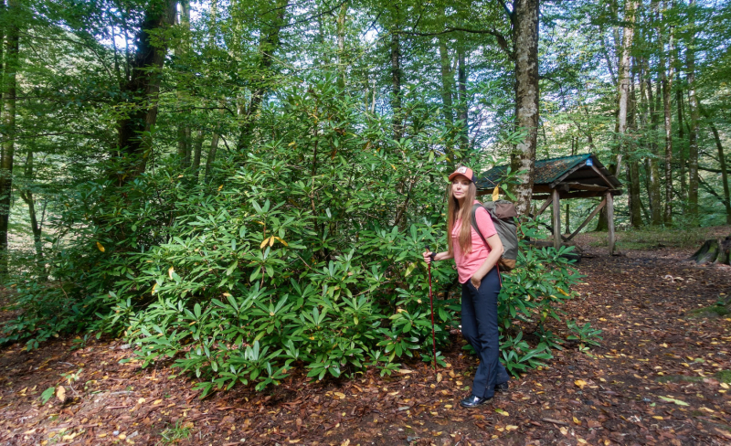dsc09029-2021-10-02-at-11-17-15
