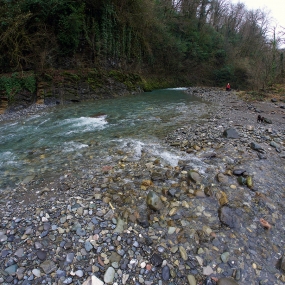 P1520715_2 P1520715_2