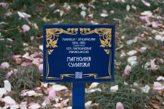 Дендрологический парк «Южные Культуры»