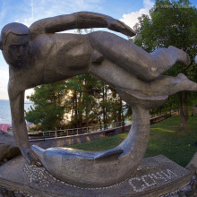 Плавец и дельфин