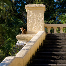 P1040357