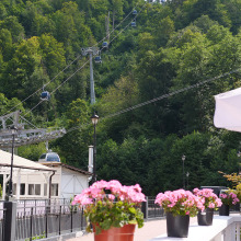 P1166458