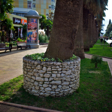 P1280401 (1)