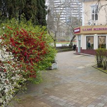 Сочи_Панорама_0003