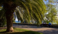 Сочи, Sochi
