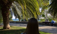 Сочи, Sochi