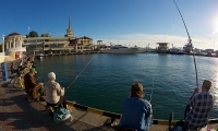 Рыбаки у морского порта Сочи. Fishermen at the sea port of Sochi