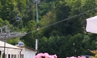 P1166458