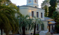Дендрарий. Сочи июнь 2014