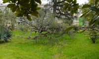 Sochi_squares