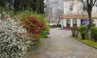 Сочи_Панорама_0003