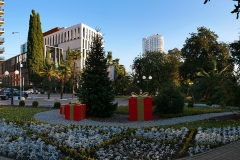 sochi-svetlana-vyhod-k-moryu-19-01-2020