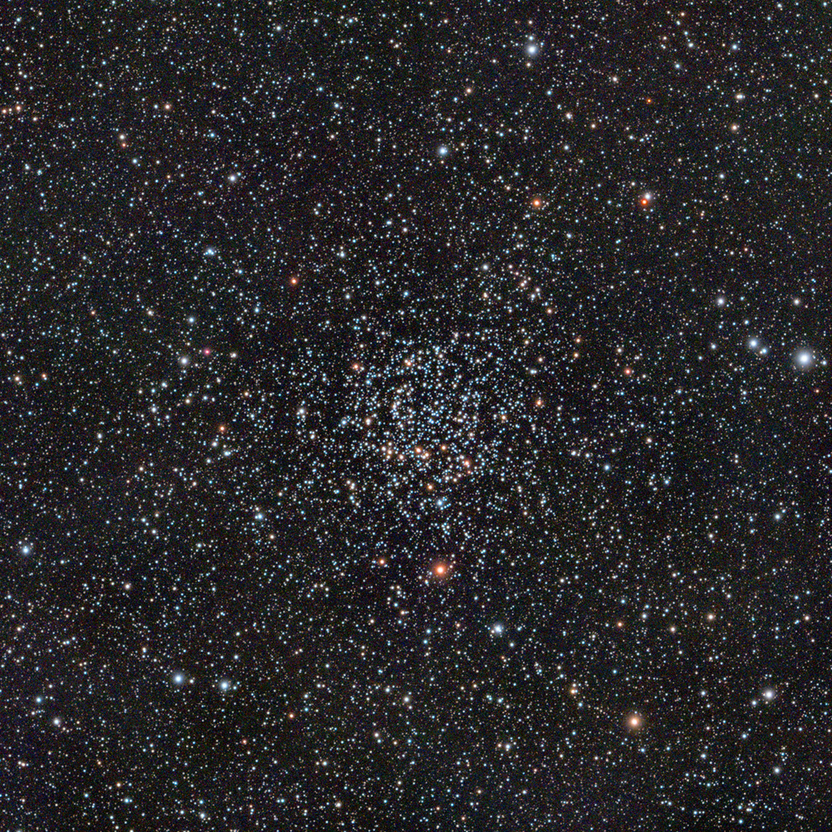 Рассеянное звездное скопление «Роза Каролины» (NGC 7789)